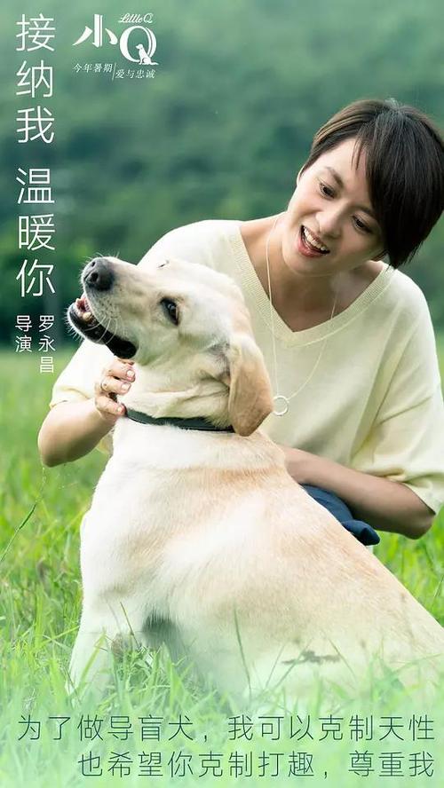 学士学位证丢了有没有影响